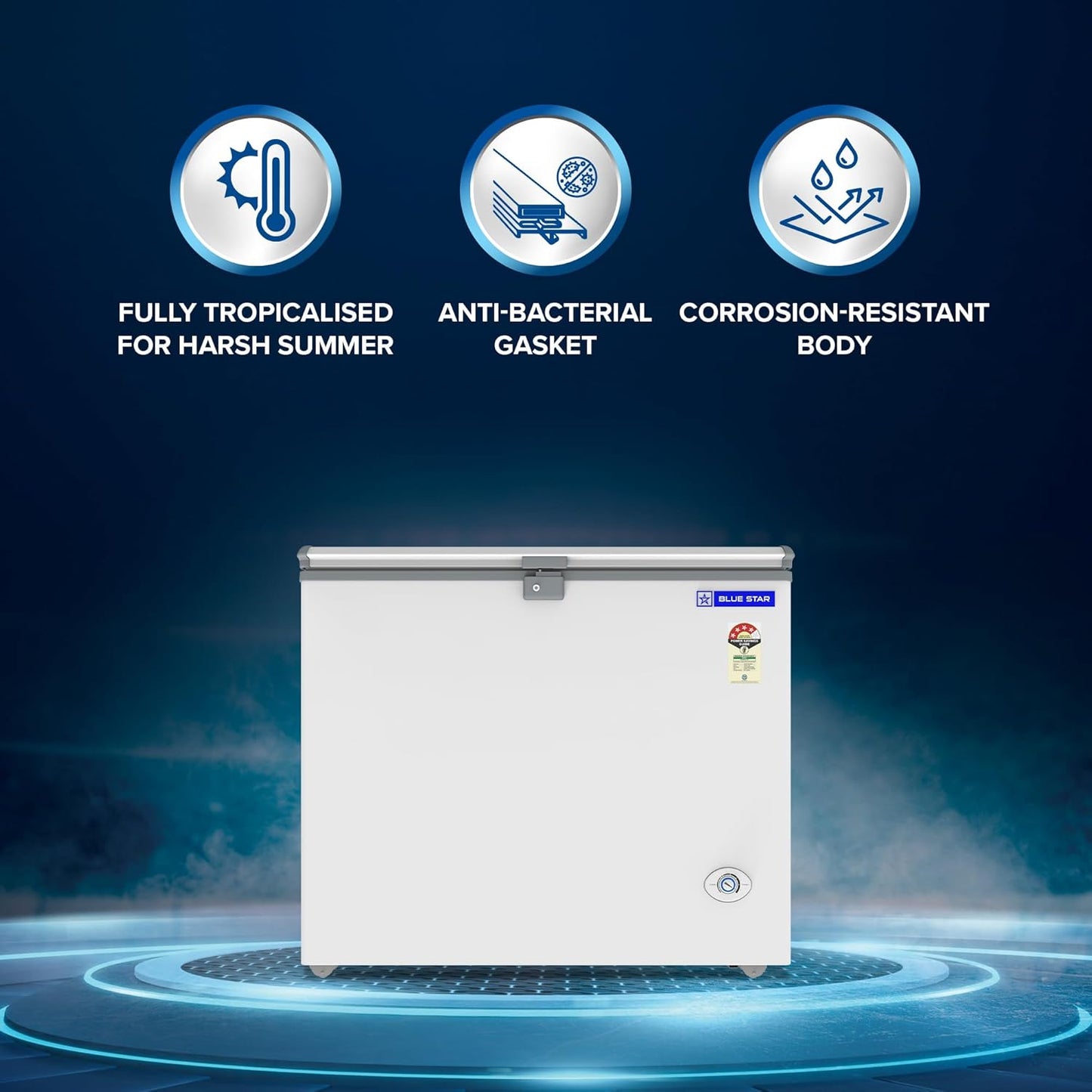 Bluestar Freezer 230 Ltr-CHF4-230NEY