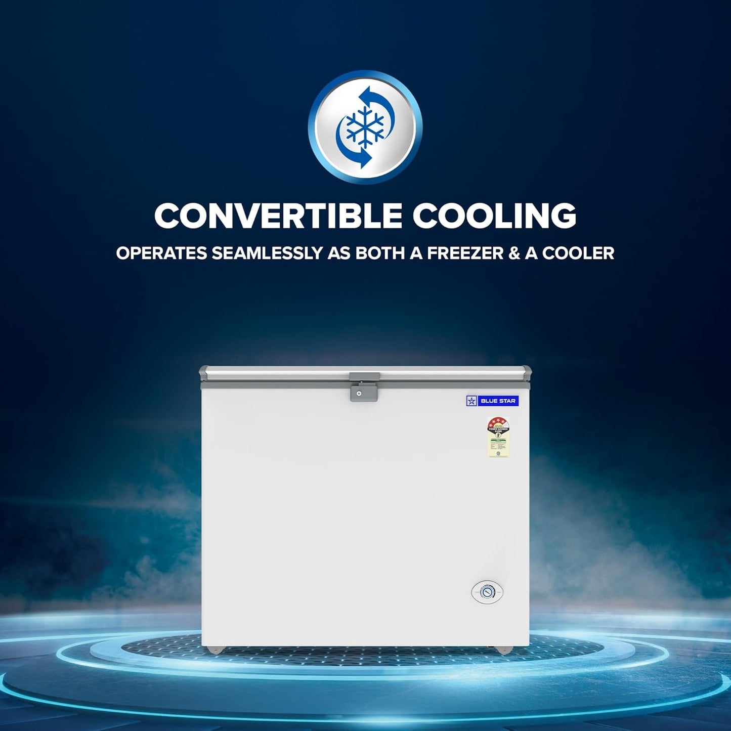 Bluestar Freezer 230 Ltr-CHF4-230NEY