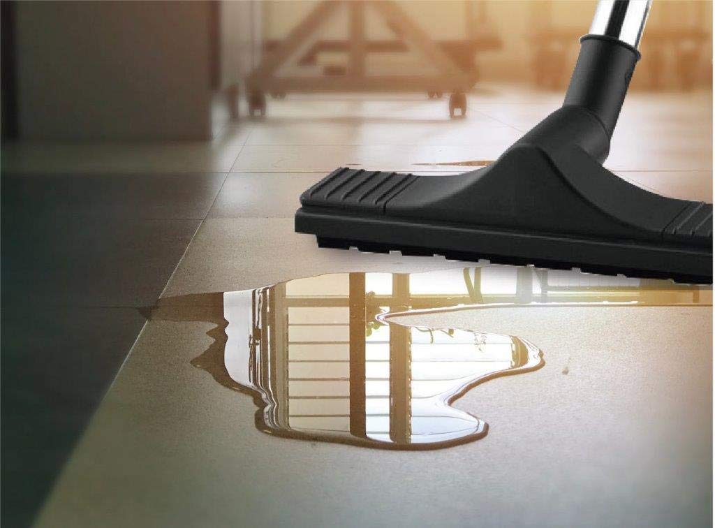 Eureka Forbes Vaccum Cleaner Wet and Dry NXT